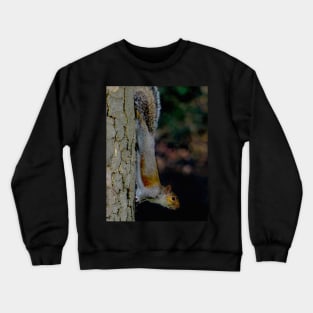 GONE NUTS FOR SQUIRREL YOGA ! Crewneck Sweatshirt